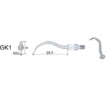 INSERT WOODPECKER PROPHYLAXIE FILETAGE KAVO. GK1(5 KAVO/S1 SIRONA/S1 NSK)
